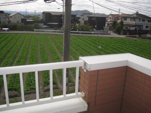 下井阪駅 徒歩24分 2階の物件内観写真